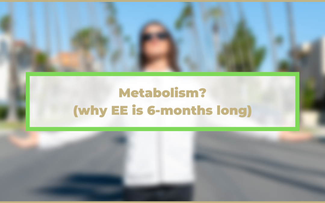 Metabolism? (why EE is 6-months long)